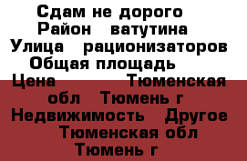 Сдам не дорого  › Район ­ ватутина › Улица ­ рационизаторов › Общая площадь ­ 12 › Цена ­ 8 000 - Тюменская обл., Тюмень г. Недвижимость » Другое   . Тюменская обл.,Тюмень г.